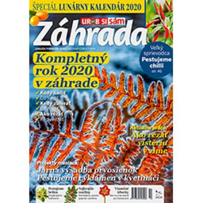 DotA dohazování zákaz