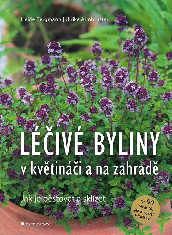 Léčivé byliny v květináči a na zahradě