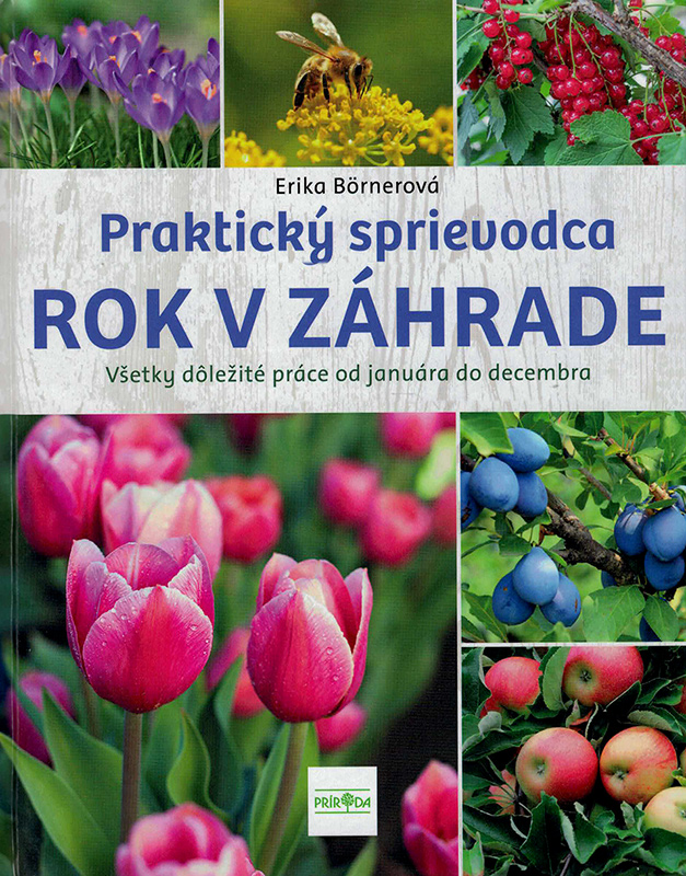 Rok v záhrade