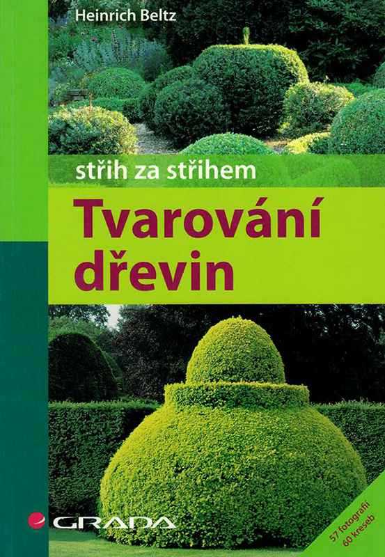 Tvarování dřevin